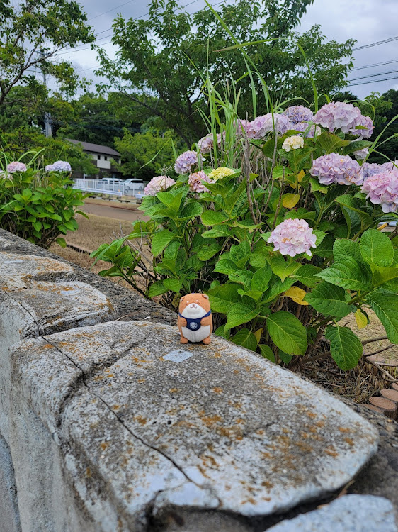 グレイスの紫陽花・福岡某所・もち。さんに関するカスタム事例の投稿画像2枚目