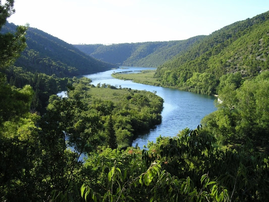 Sinuosità della natura di bonzino