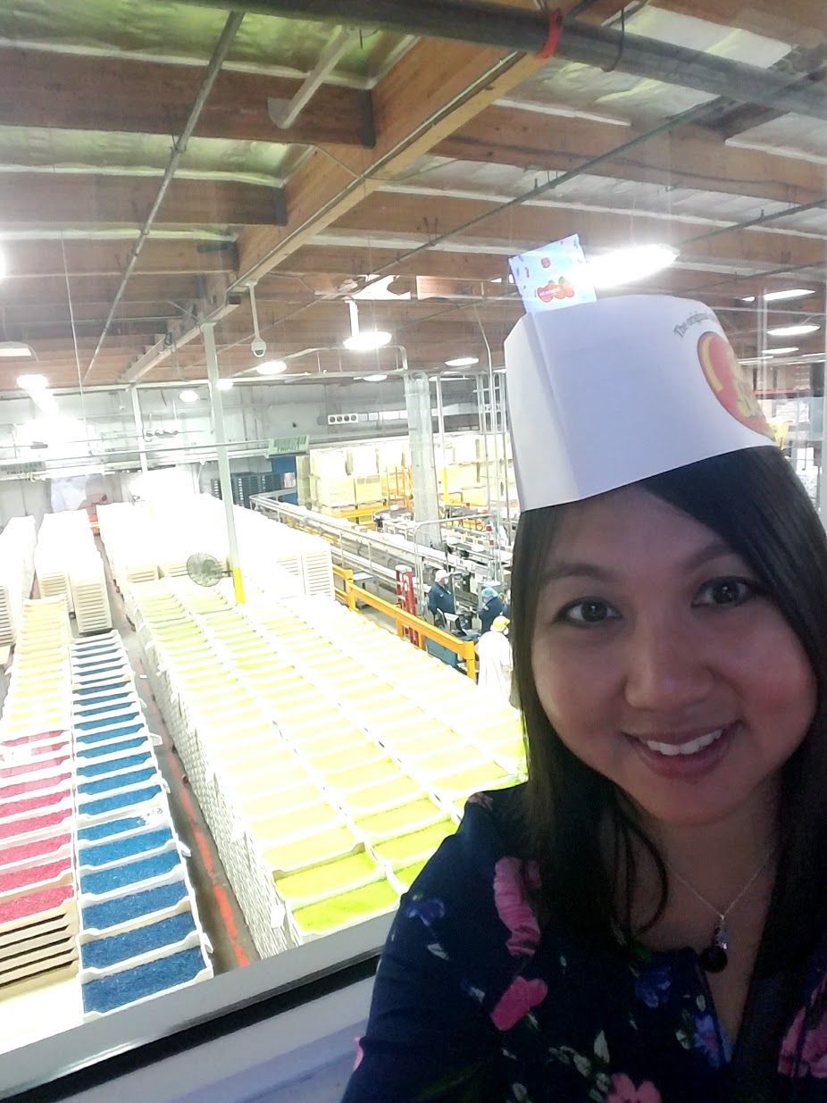 Jelly Belly Factory Tour in Fairfield, California: the rainbow of 50 flavors and more of Jelly Belly
