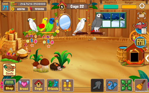 Screenshot Bird Land: Pet Shop Bird Games