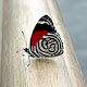 Butterfly Wallpapers Butterfly Theme |GreaTab