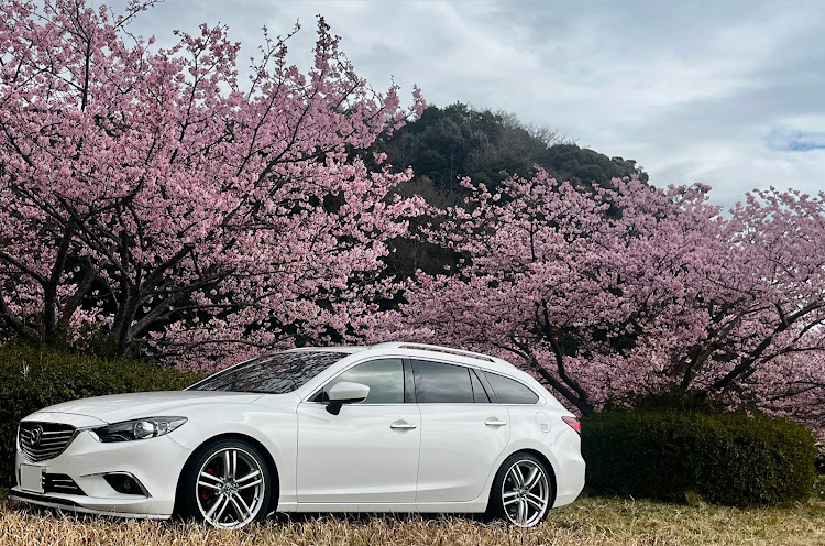 アテンザワゴンの愛車の好きな角度・河津桜・純正ホイール流用に関するカスタム事例の投稿画像1枚目