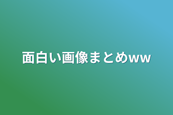 面白い画像まとめww