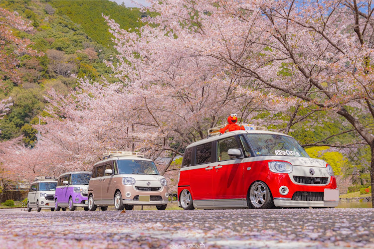 ムーヴキャンバスの桜とコラボ・ドライブ・奈良県・かわいい相棒・桜に関するカスタム事例の投稿画像8枚目