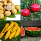 Download Tebak Nama Buah Terbaru For PC Windows and Mac 3.2.6z