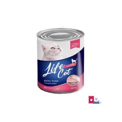 Best Cat Food Kitten Recommendations Life Cat Kitten