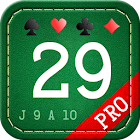 29 Card Game Pro 1.14