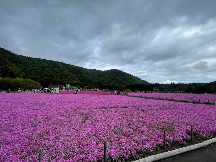 の投稿画像7枚目