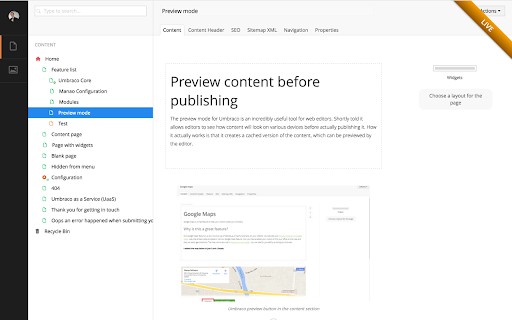 Preview content before publishing 