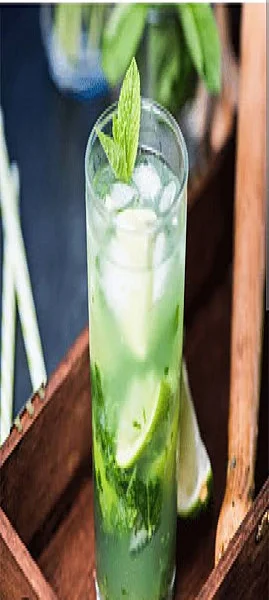 Virgin Mojito