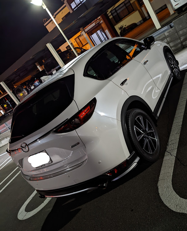 CX-5の通い猫サバにゃん・ワクチン接種４回目・通院・CX-60に関するカスタム事例の投稿画像16枚目