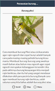 Lastest Perawatan Burung Kicau APK for Android