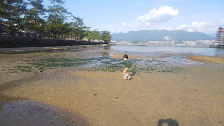 デリカD:5の廿日市市宮島町・厳島神社・厳島の戦いに関するカスタム事例の投稿画像15枚目