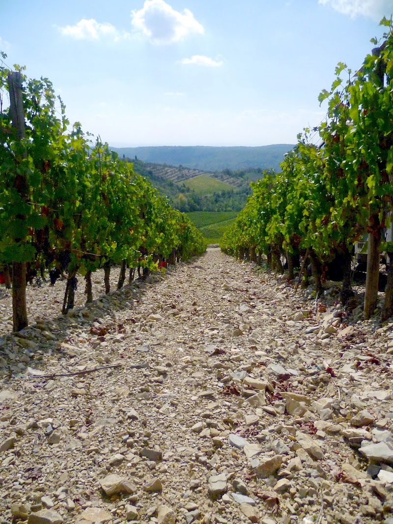 Un tuffo nel Chianti di Jo_74