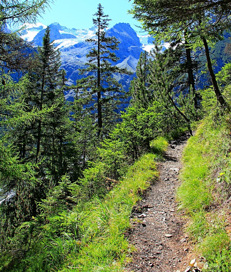 Verso Passo dello Stelvio di marvig51