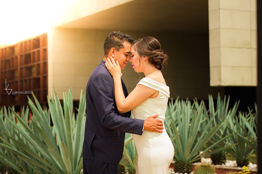 Fotógrafo de bodas Luis Gallegos (luisgallegos). Foto del 28 de octubre 2020