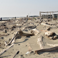 questa spiaggia e una vergogna...... di renzo brazzolotto