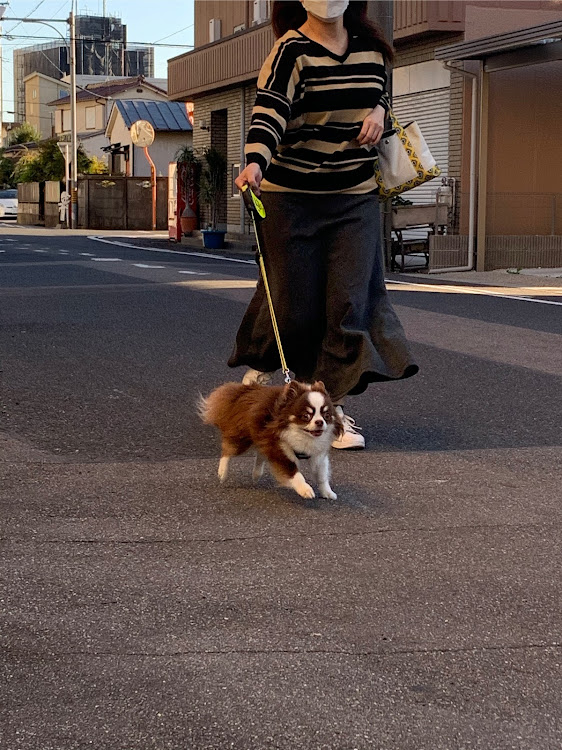 アルファードの2020ベストショット・カレンダーに載ってみたい・洗車・愛犬・輪止めビビリーズに関するカスタム事例の投稿画像4枚目