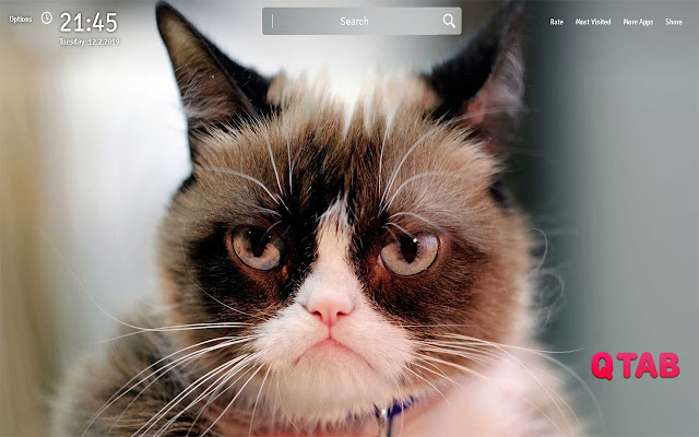 Grumpy Cat Wallpapers Theme Cats New Tab