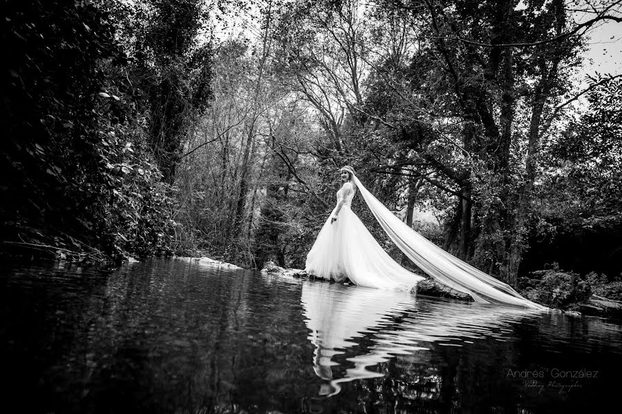 Φωτογράφος γάμων Andrés Gonzalez (andresgonzalez). Φωτογραφία: 22 Μαΐου 2019