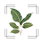 VerdiVista Plant Identifier icon