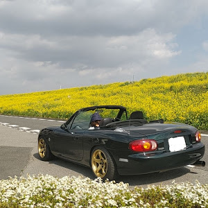 ロードスター NB6C