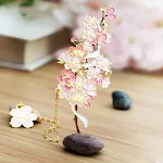 Cherry blossoms