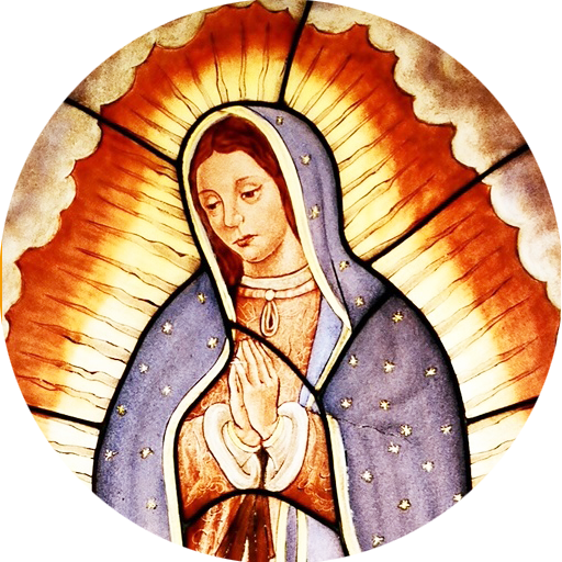 Virgen de Guadalupe Premium 生活 App LOGO-APP開箱王