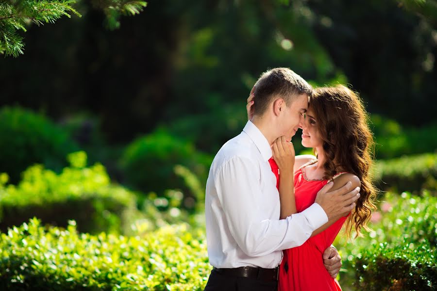 Wedding photographer Svetlana Shevchuk (telhar). Photo of 7 September 2016