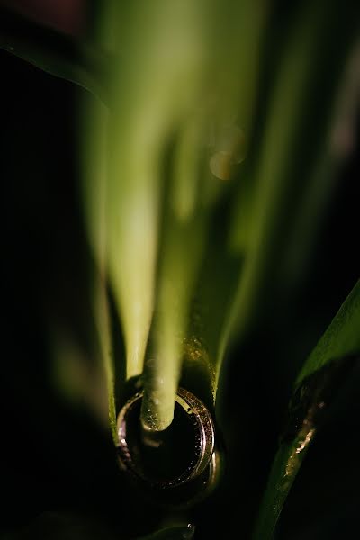 Bröllopsfotograf Paul Budusan (paulbudusan). Foto av 18 maj 2018