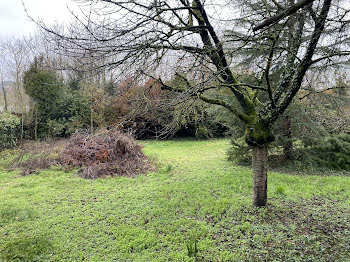 terrain à batir à Morsang-sur-Orge (91)