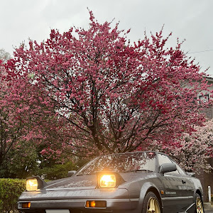 MR2 AW11