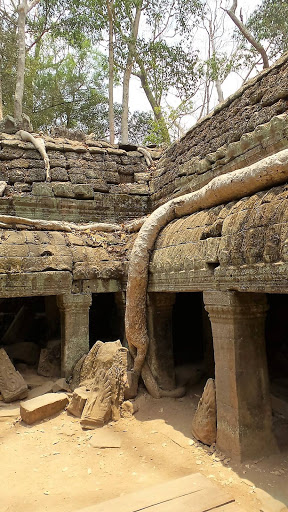 Tomb Raider Movie Temple (Ta Prohm) Cambodia 2016