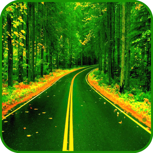 Road Wallpaper