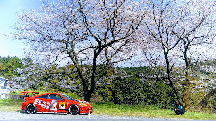 セリカの桜と愛車・記念撮影・毎年恒例に関するカスタム事例の投稿画像1枚目