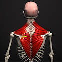 Anatomy by Muscle & Motion icon