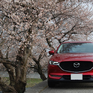 CX-5 KF2P