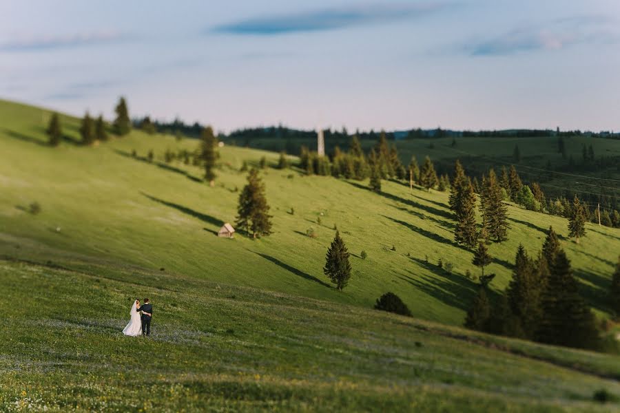 Wedding photographer Veres Izolda (izolda). Photo of 2 June 2017