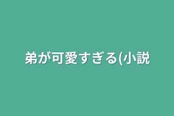 弟が可愛すぎる(小説