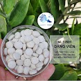 1 Viên Vi Sinh Em Dạng Viên Nén - Vi Sinh Làm Trong Nước Bể Cá