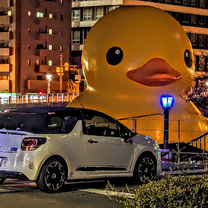 DS3 カブリオ A5CHN01