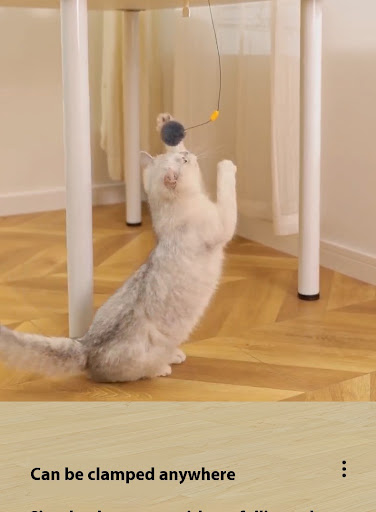 Title 8, Interactive cat toy that automatically moves th...