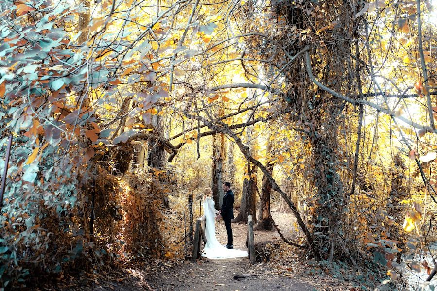 Fotografo di matrimoni Páez Mota Oscar (oscarmotaperez). Foto del 23 settembre 2020