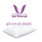 Gối Bông Gòn Thắng Lợi, 30X40Cm Gối Bông Gòn Chính Hãng, 100% Polyester Do Công Ty Thắng Lợi Sản Xuất, Vệ Sinh Dễ Dàng.