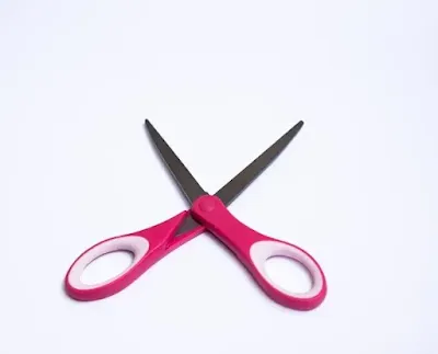 Scissor - 1 pc