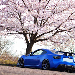 BRZ ZC6