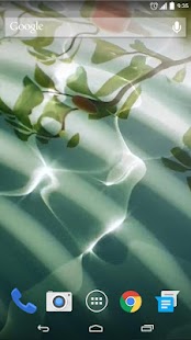 Free Download Water Leaf  Live Wallpaper APK for PC
