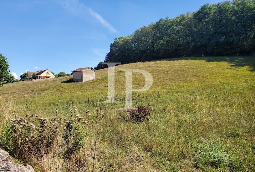  Vente Terrain à bâtir - 9 917m² à La Clayette (71800) 