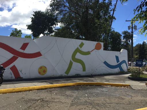 Mural Deportivo