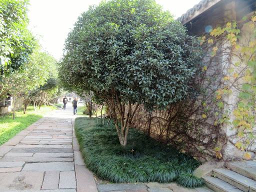 A Day in Wuzhen China 2016